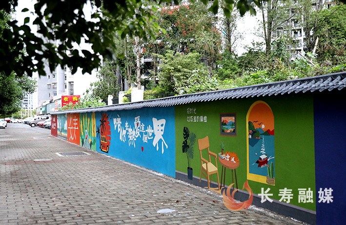 多彩墙绘扮靓城市公共空间 (6)