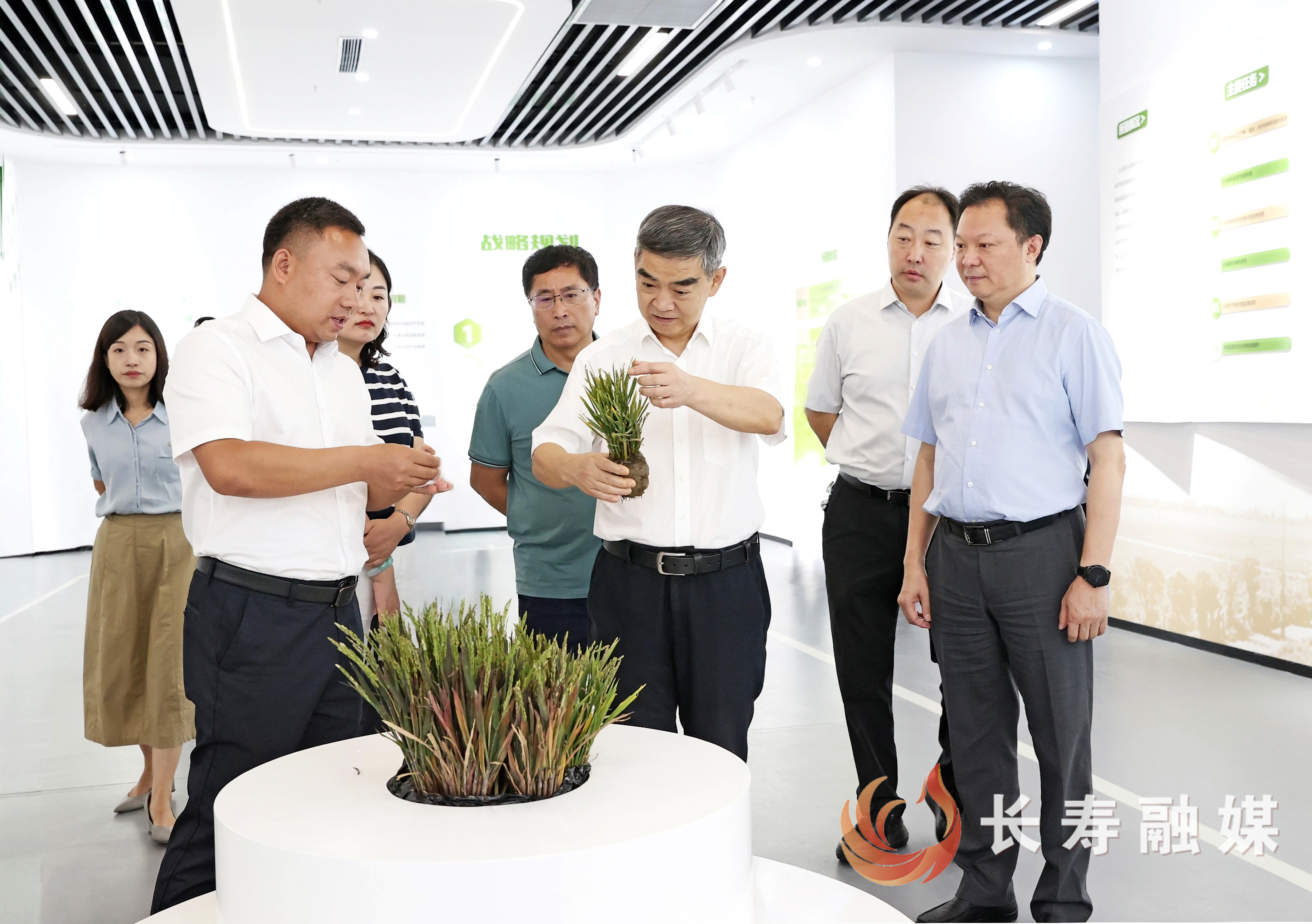 市政协副主席丁时勇一行来长调研-西南研究院