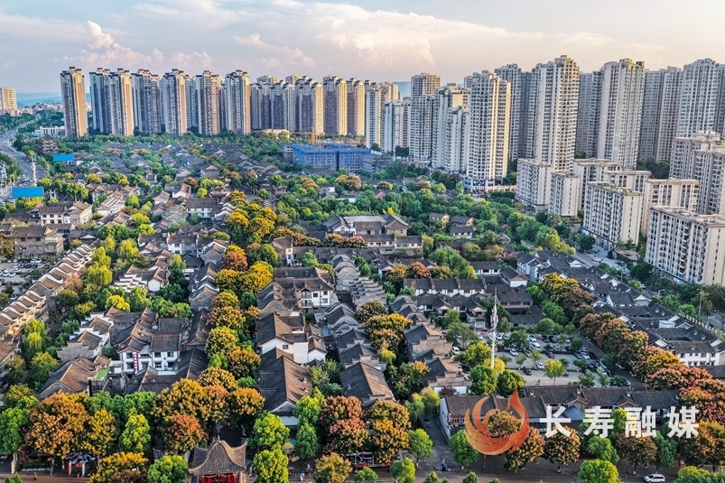 栾树进入最佳观赏期4