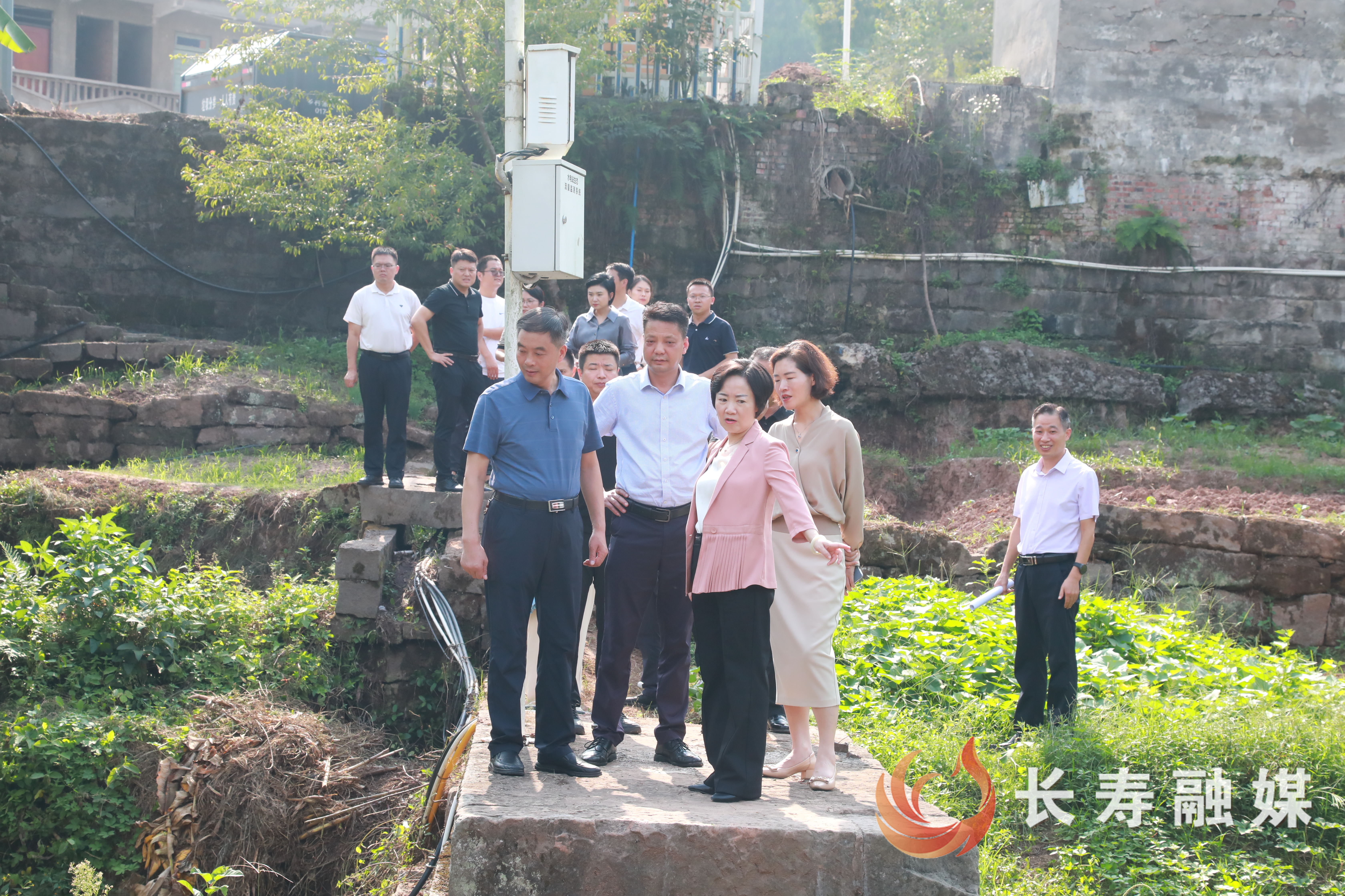 (师明萌)区领导调研焦家河河长制工作开展情况1