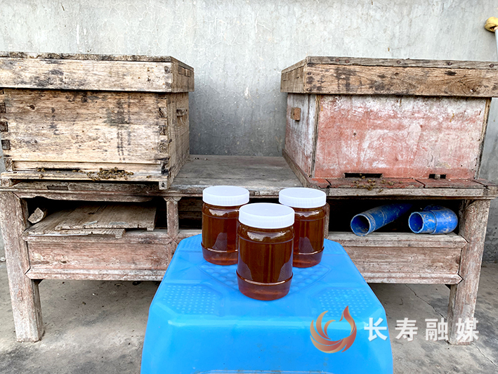 老黄家的蜂蜜熟了 (3)