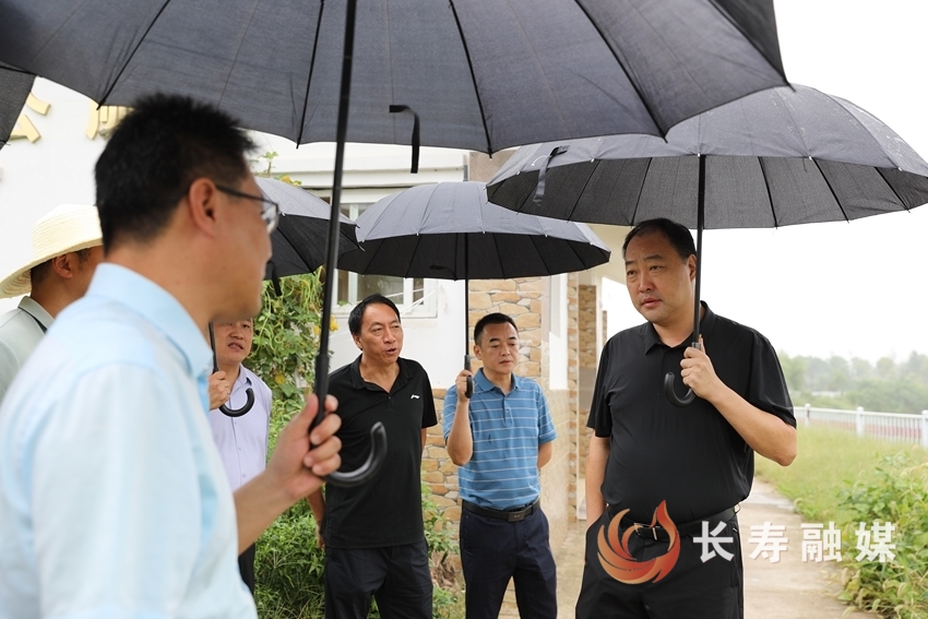邹翔名）区领导带队开展巡河并督导水系提升项目建设工作1