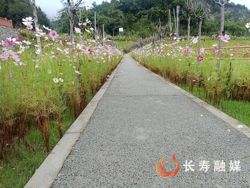 长寿：废弃矿山变公园3
