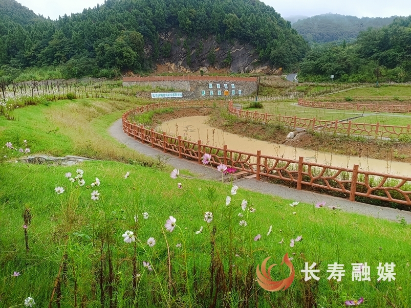 长寿：废弃矿山变公园2