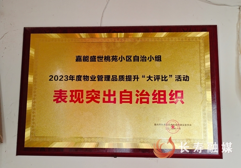 单体楼栋自治难在哪？怎么解10