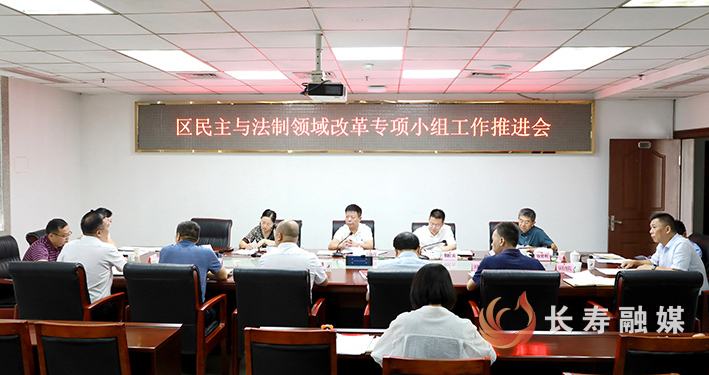 区民主与法制领域改革专项小组工作推进会召开