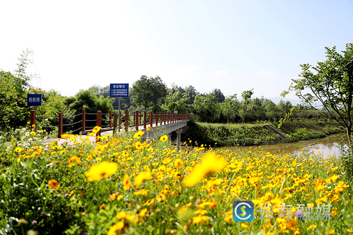 桃花溪新市段美如画