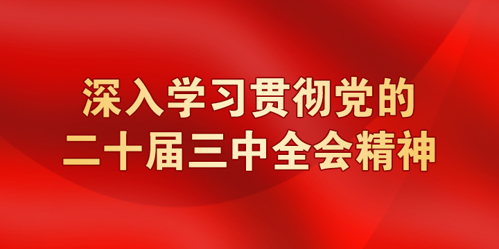 深入学习贯彻党的二十届三中全会精神