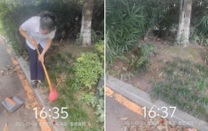 长寿物业小区曝多项隐患 (4)