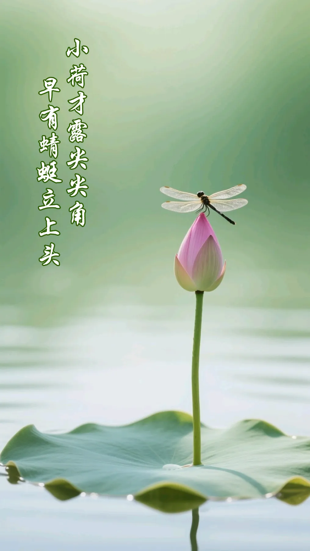 2小荷才露尖尖角