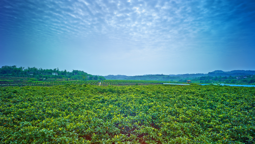 Cropped by 华龙芯 2025-05-09 09:46:11