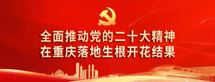 二十大精神开花结果