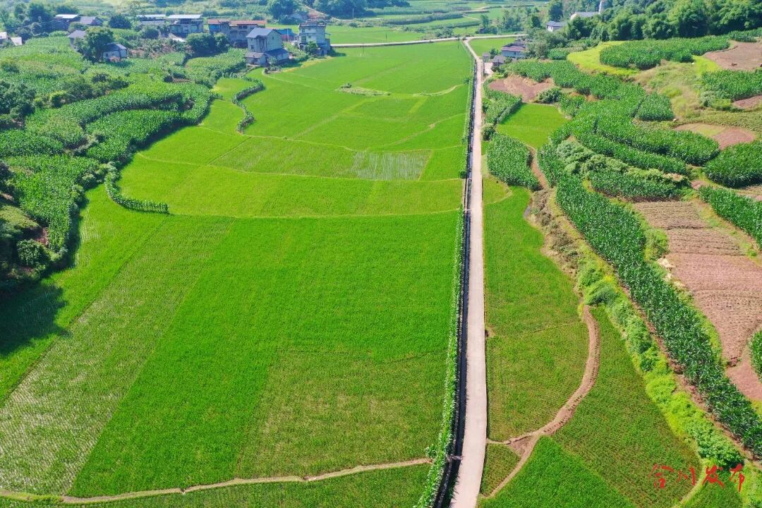 龙市稻香路_副本.jpg