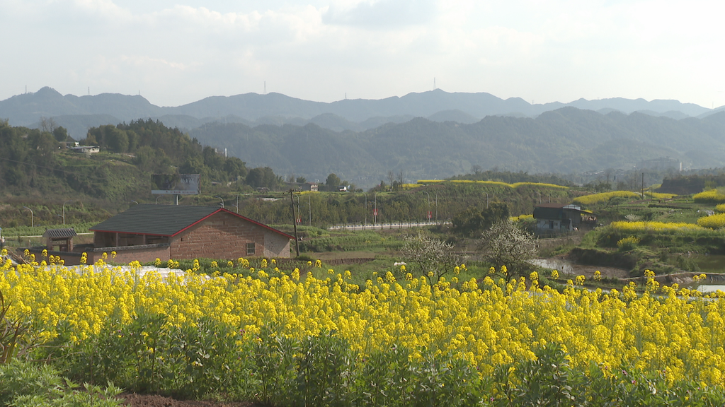 微信图片_20250320154927