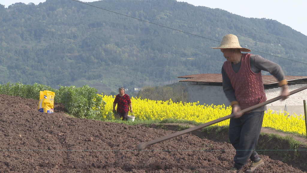 微信图片_20250320154949