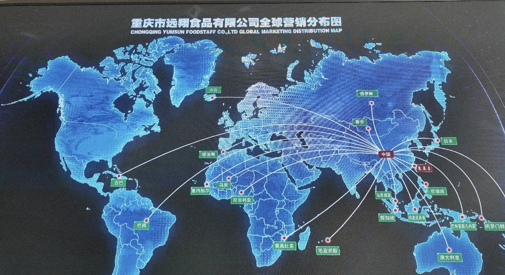 微信图片_20250523102323
