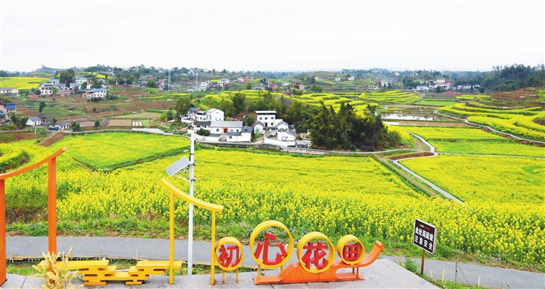“太平桥乡村旅游升级”协商活动推动了太平桥村农旅融合发展,该村油菜花基地配套设施不断完善。