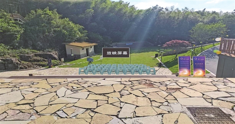 茶山竹海星空露营基地草坪