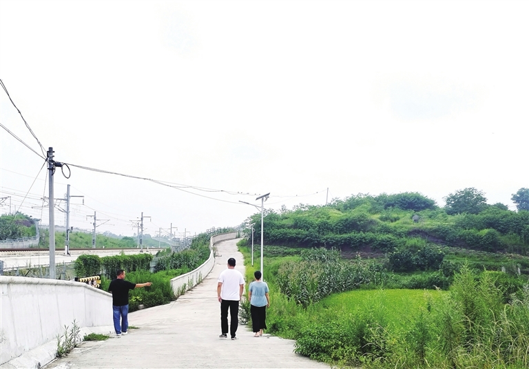 改建后的桐子院子村民小组的通组路。