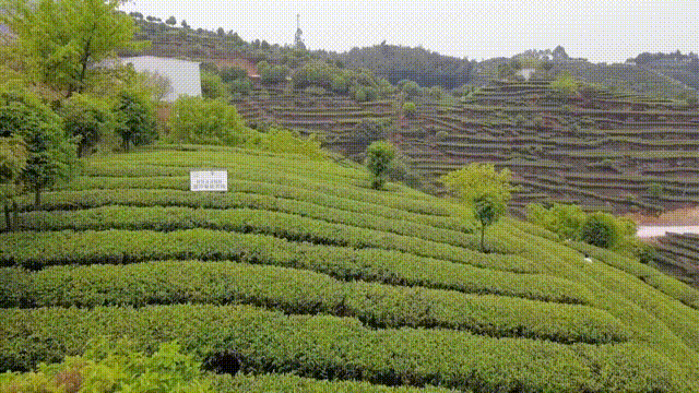 a8b0a695c7cdd7a1c05a5f23925c2147