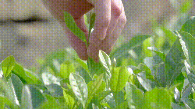 81ac2236d967fb21ee1bf27f58b27ba3