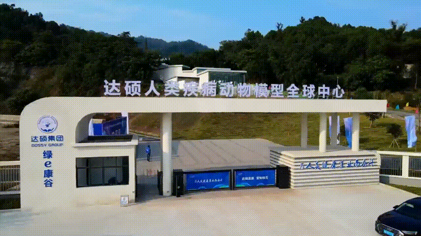 6de5bba5e09962ffa3344542e942b1e3