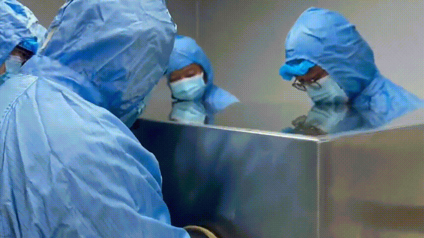 b2afb55aaacee45ad4cd87a2bddbe391