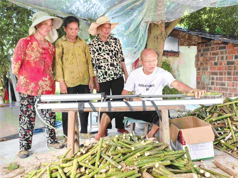 yxdsb0820006_002_01_s