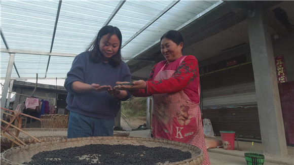郭兰英（左）在吕茂容家收购黑豆。彭水县融媒体中心供图 华龙网发