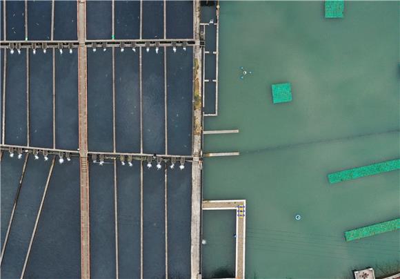 无人机航拍的彭水太原镇区阳村冷水鱼养殖基地。特约通讯员 廖唯 摄