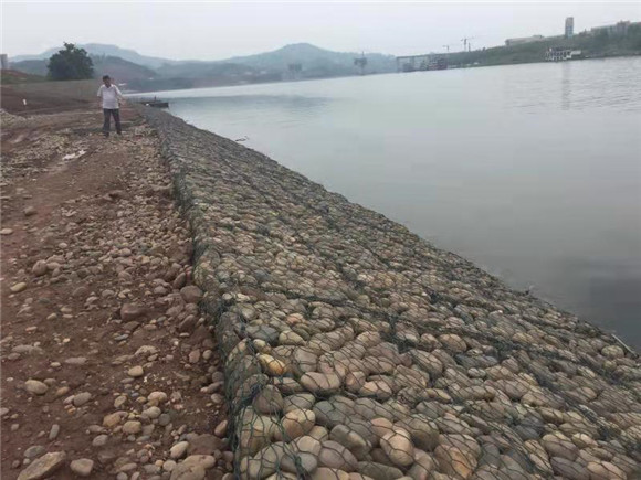 4格宾笼护坡能抵御河道水流冲刷，为鱼虾栖息和繁殖提供场所。受访者供图