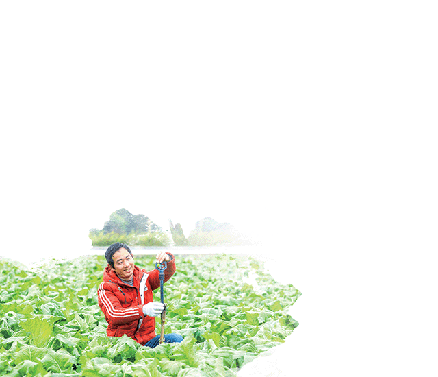 云龙镇三清村蔬菜种植基地，菜农在安装喷淋浇灌设备。 通讯员 熊伟 摄