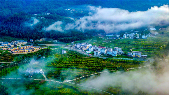 茶山村全貌，云雾缭绕美如画。红池坝镇供图 华龙网发