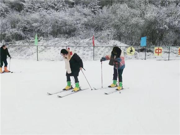 游客在茅草坝体验滑雪的乐趣。通讯员 周海媚 摄