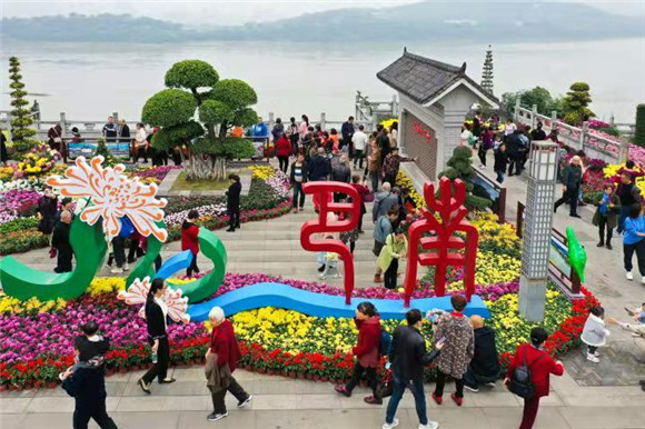 重庆市第24届菊花展。 巴南区委宣传部供图  华龙网发