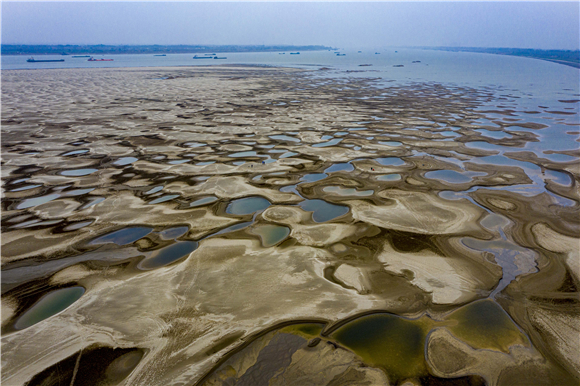 罗霍洲江滩（无人机照片）。新华社记者 杜华举 摄