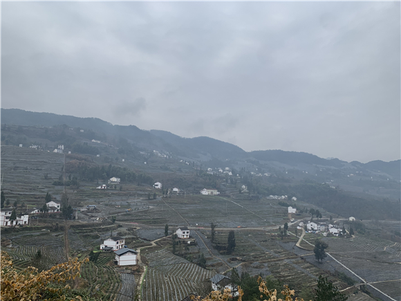 2站在高处看红旗村，景色优美。华龙网-新重庆客户端张馨月 摄