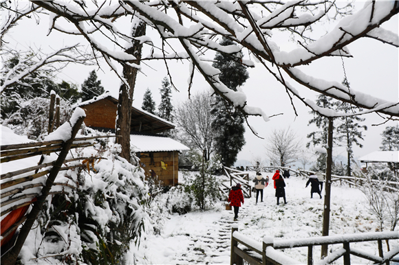 梁平区蟠龙镇扈槽村，游客在赏雪、游玩。刘辉 摄