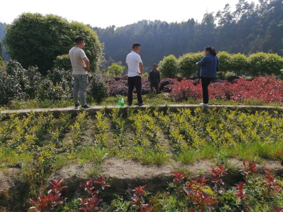 刘贵林在和村民交谈作物种植情况。綦江区委宣传部供图 华龙网发