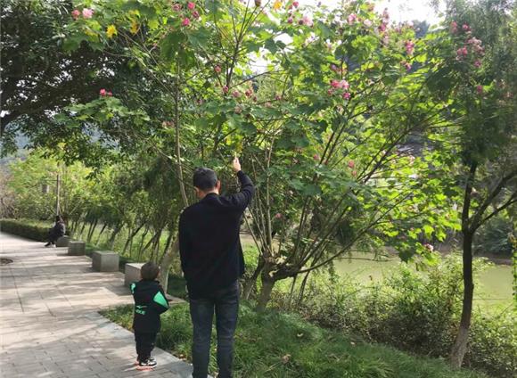 市民赏花。通讯员 周海媚 摄 市民赏花。通讯员 周海媚 摄