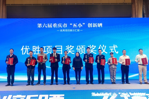 现场共有10个项目获得优胜项目奖。主办方供图 华龙网发 4、现场共有10个项目获得优胜项目奖。主办方供图 华龙网发