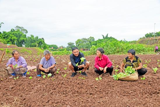 科技特派员指导村民种植蔬菜。通讯员 杨丽丹 张良建 供图