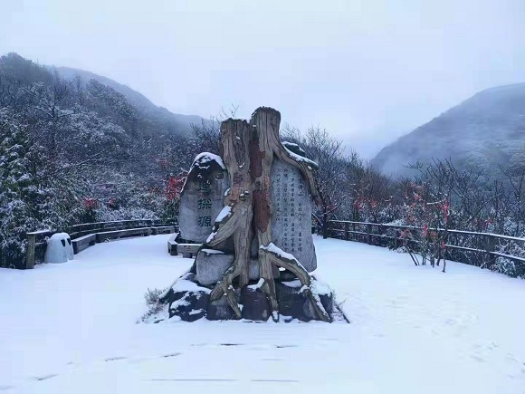 金佛山风景区雪景图片