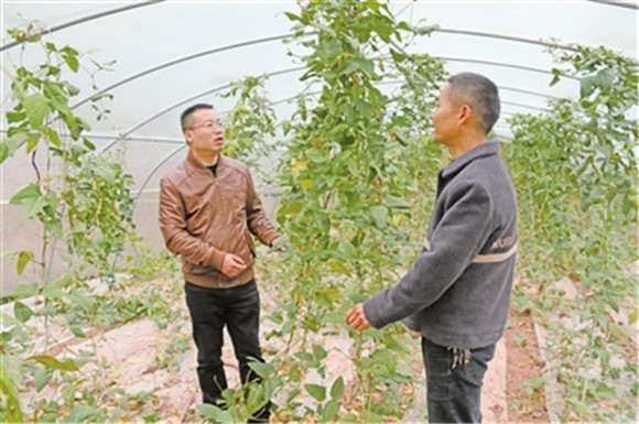 袁雪峰（左）走访种植户，了解产业发展中的困难。通讯员 邓青春 供图
