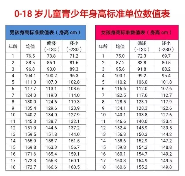 图片31