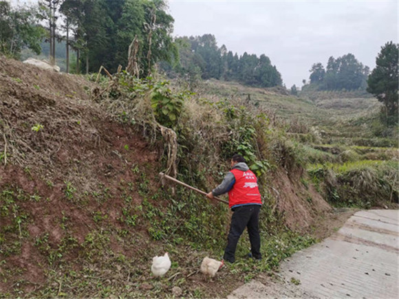 志愿者在铲除公路边坡杂草。通讯员  肖永富  摄