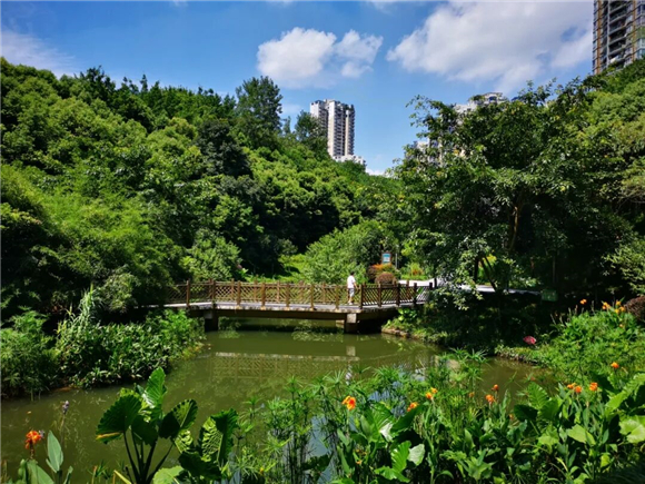 12盤溪河公園裡休閒安逸的步道依山就勢,以水為媒.