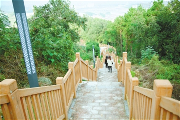 金竹溪生态公园的登山步道依山而建，古朴野趣。通讯员 杨青 摄