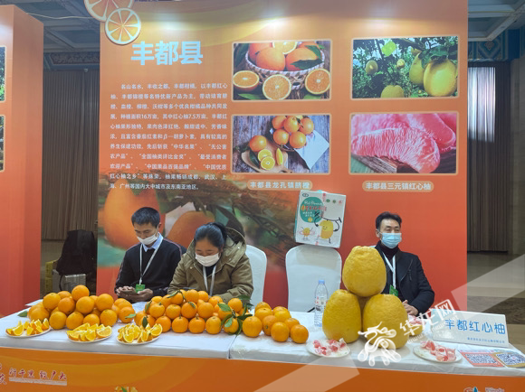 重庆区县特色柑橘在山东推介会上展出。华龙网-新重庆客户端吴礼霜摄 1639129032000