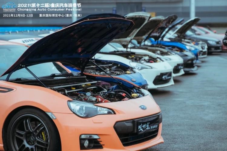 图片6